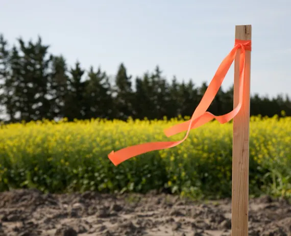 Property boundary stakes set during Property Surveys in Springfield IL