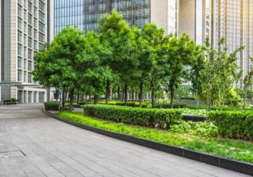 A building is beautifully designed to feature Commercial Landscape Design in Chattanooga TN