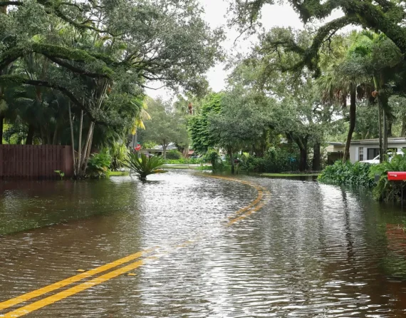 FEMA, Flood Elevation Surveys & LOMCs: What Does it All Mean?