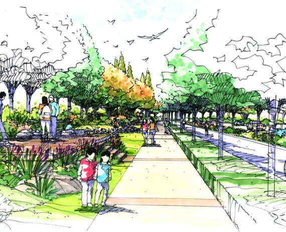 Landscape Architect Knoxville TN 