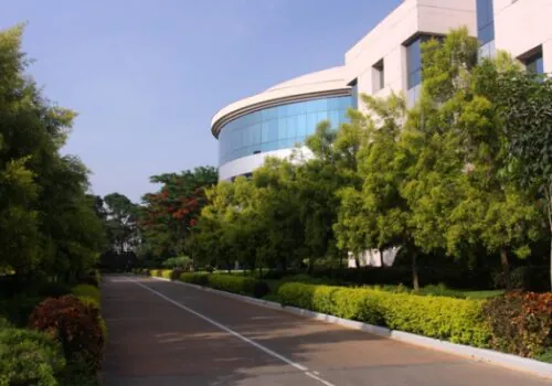 Austin Engineering Commercial Landscape Design Peoria IL