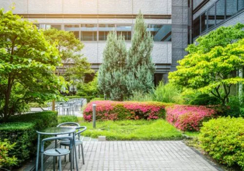 Austin Engineering landscape architects near me