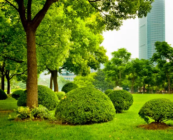 Landscape Architects Near Me