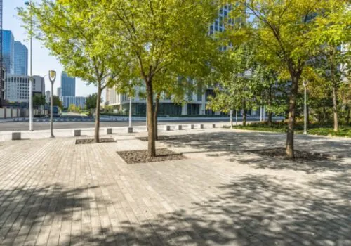 Austin Engineering landscape engineer Knoxville TN