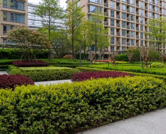 exterior of a walk path with bushes by a Landscape Engineer Knoxville TN 