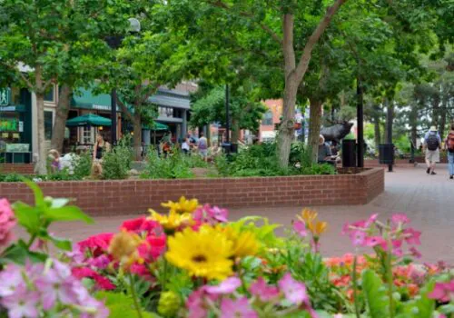 Austin Engineering landscape engineer springfield il