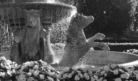Fountain Parterre Garden