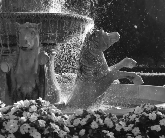 Fountain Parterre Garden